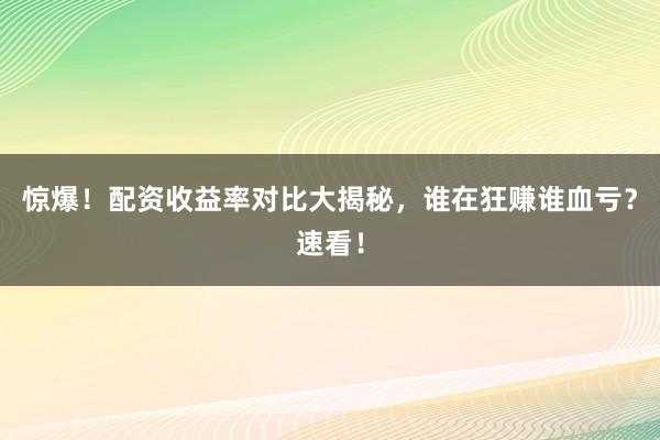惊爆！配资收益率对比大揭秘，谁在狂赚谁血亏？速看！