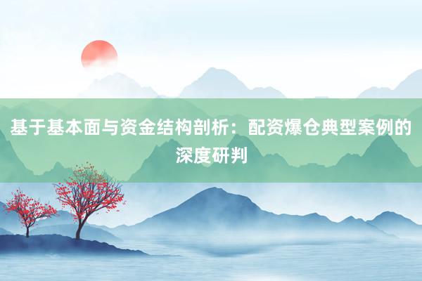 基于基本面与资金结构剖析：配资爆仓典型案例的深度研判