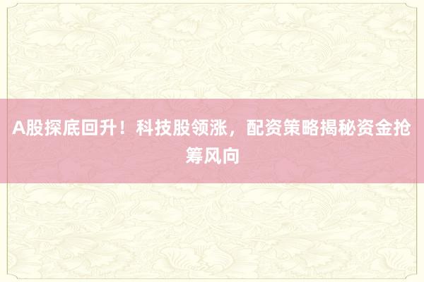 A股探底回升！科技股领涨，配资策略揭秘资金抢筹风向